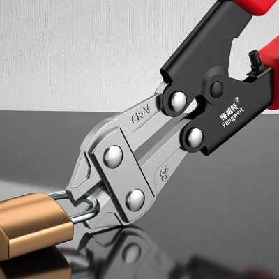 cadenas et coupe boulon